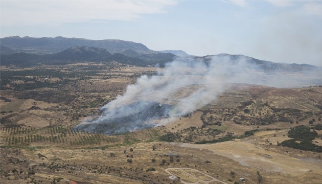 Çanakkale'de orman yangını!